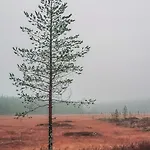 Domnan Pirtti * Kuivajarvi