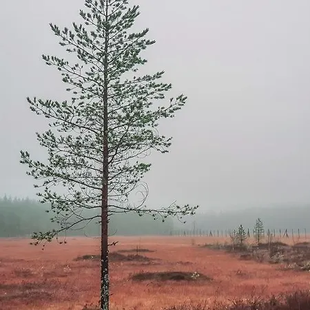 Domnan Pirtti * Kuivajarvi